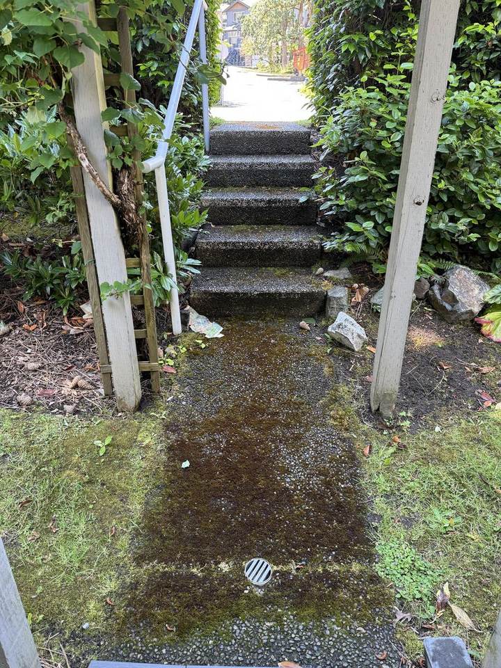 Aggregate stairs and walkway before pressure washing
