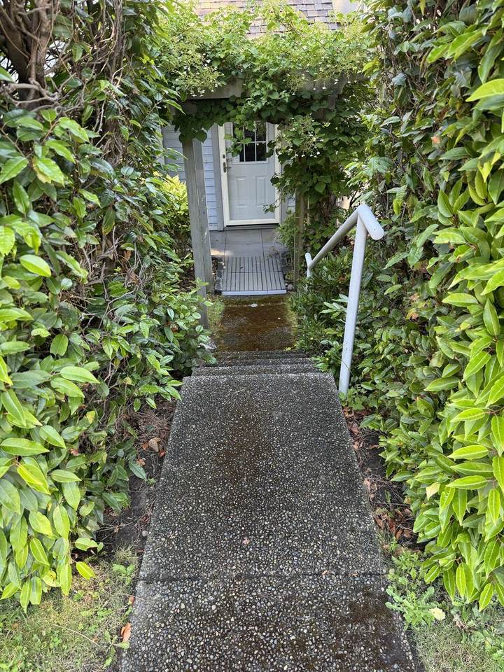 Walkway under the arbour before pressure washing