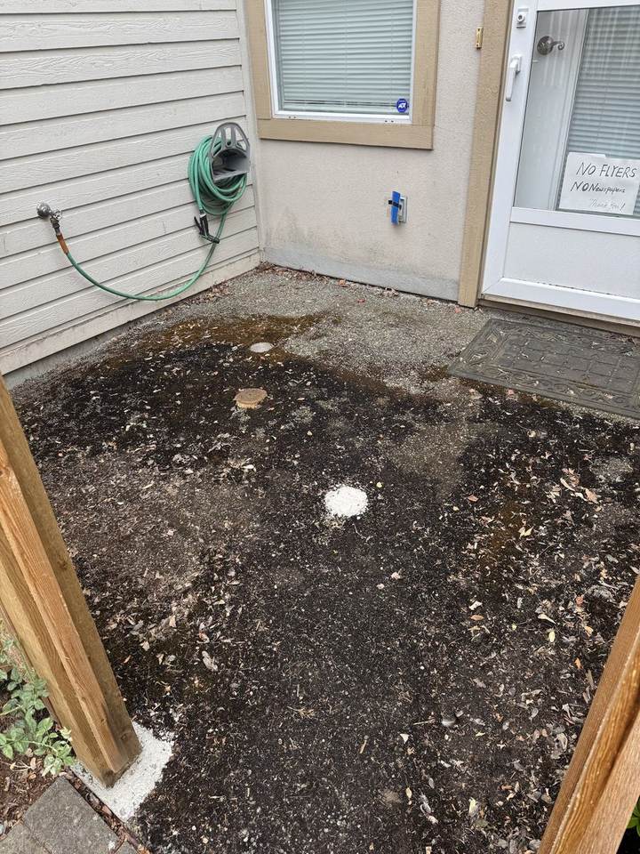 Strata entry patio before pressure washing